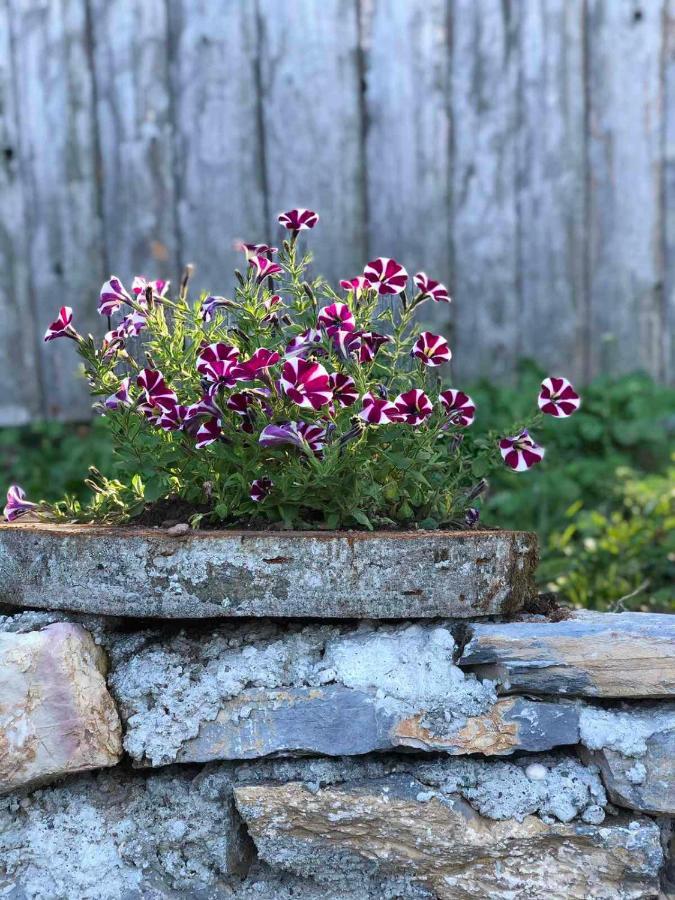 Katun Lanista-Kolibe Bogavac Villa Mojkovac Eksteriør bilde