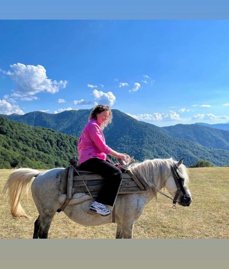 Katun Lanista-Kolibe Bogavac Villa Mojkovac Eksteriør bilde
